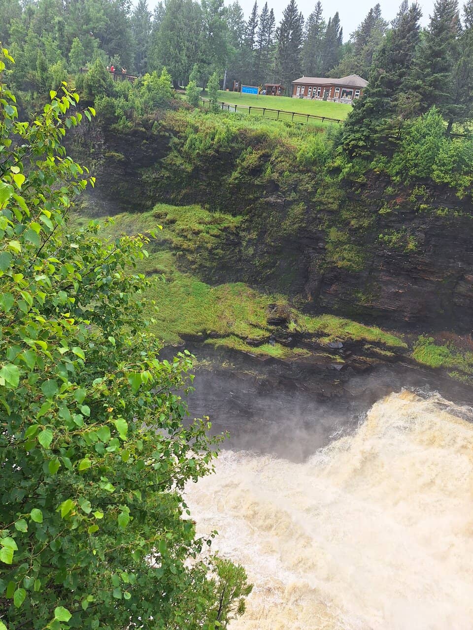 Boardwalk Observation Trail