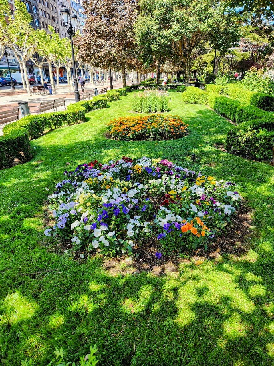 The Rose Garden