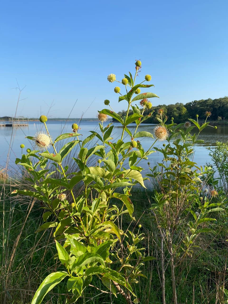 Lake and Trail Information