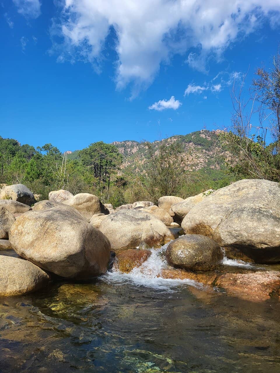 Natural Diving Platform