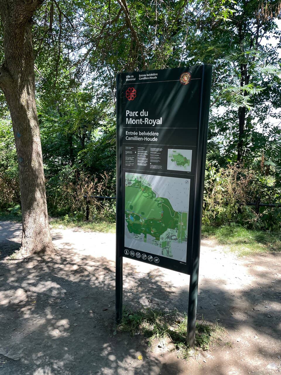 Panoramic City Views