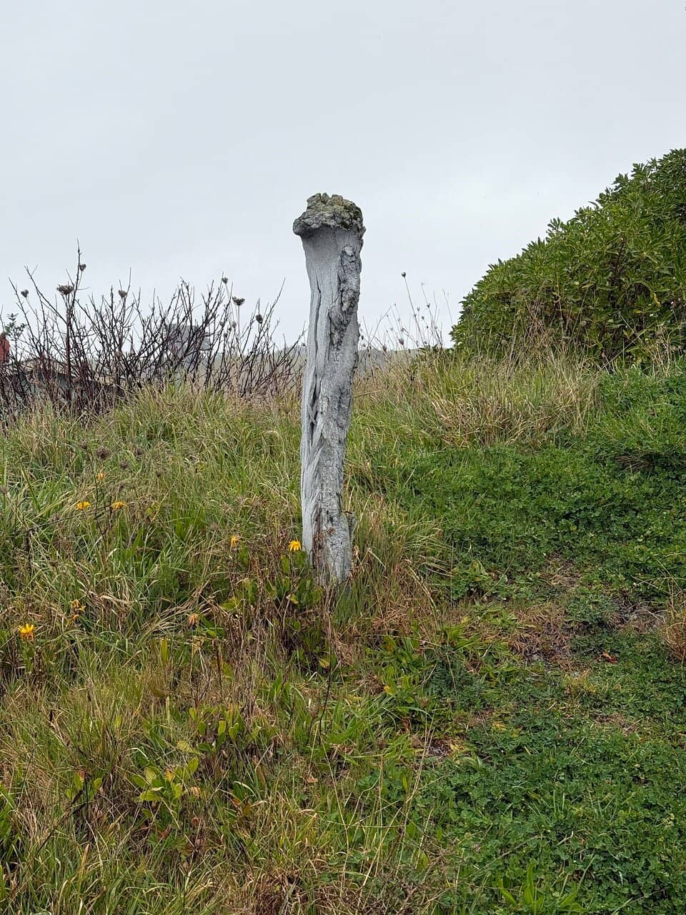 Kaikoura Peninsula Walkway