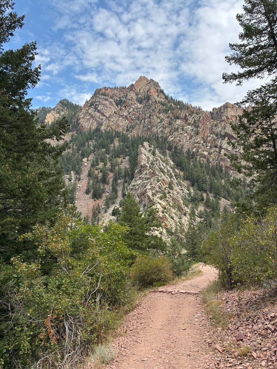 Rattlesnake Gulch Trail