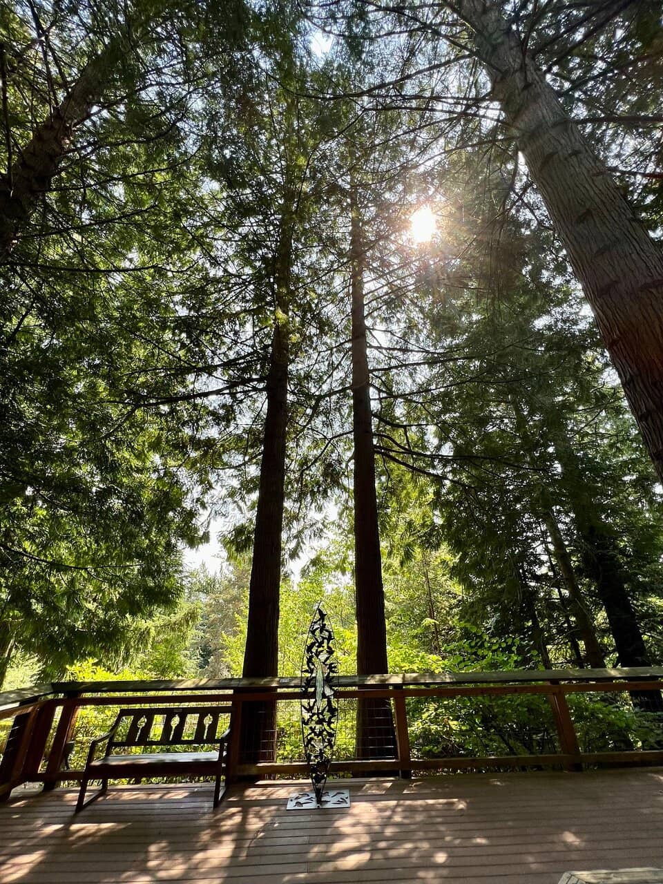 Sculpture Collection