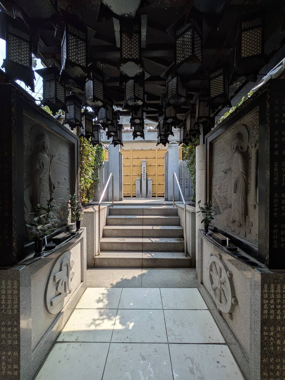 Vertical photo
