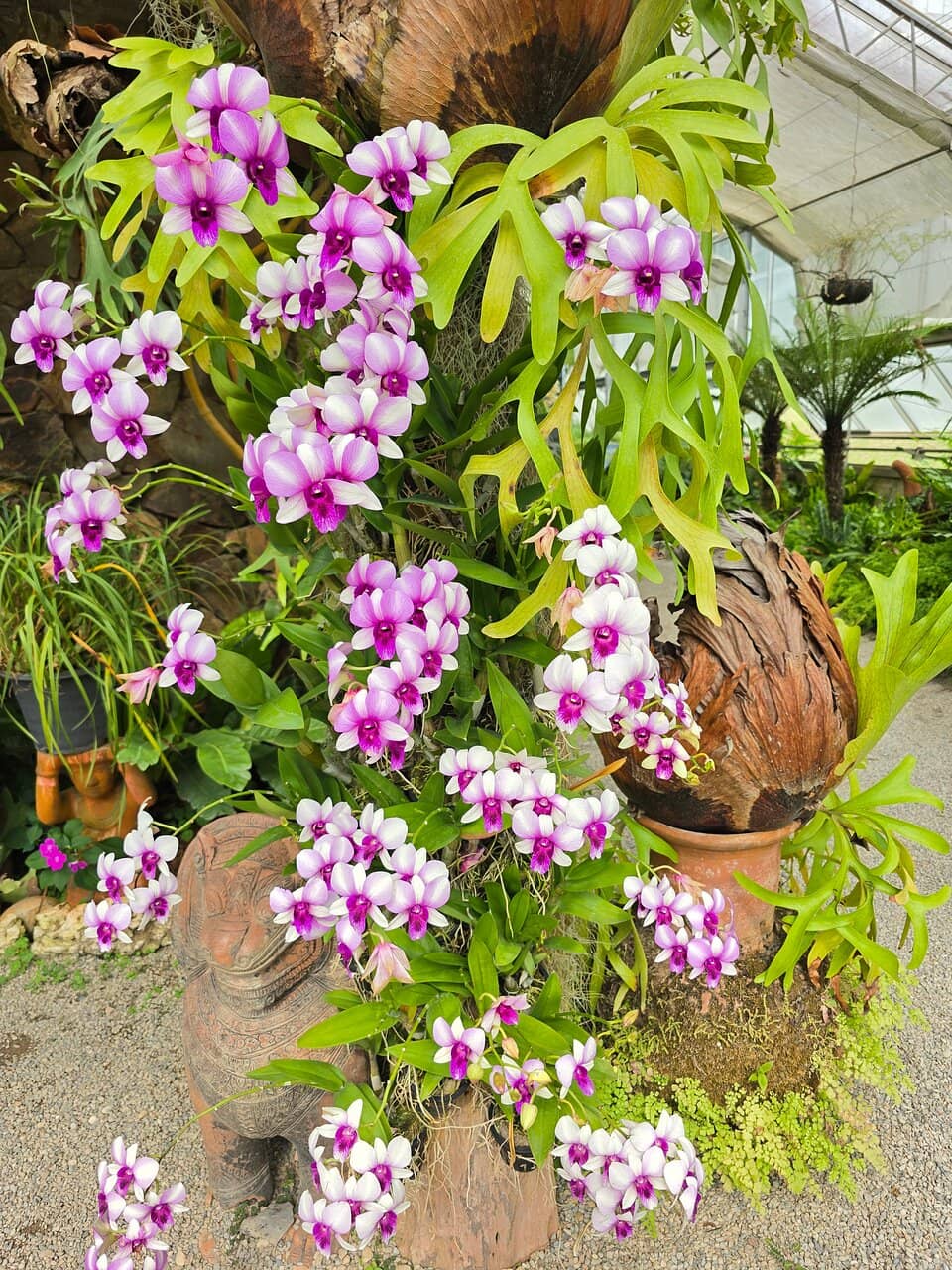 Glasshouse Complex