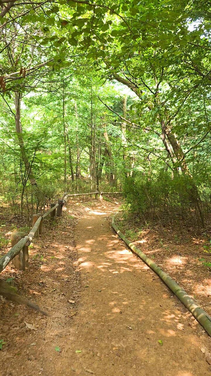 Nature Trails