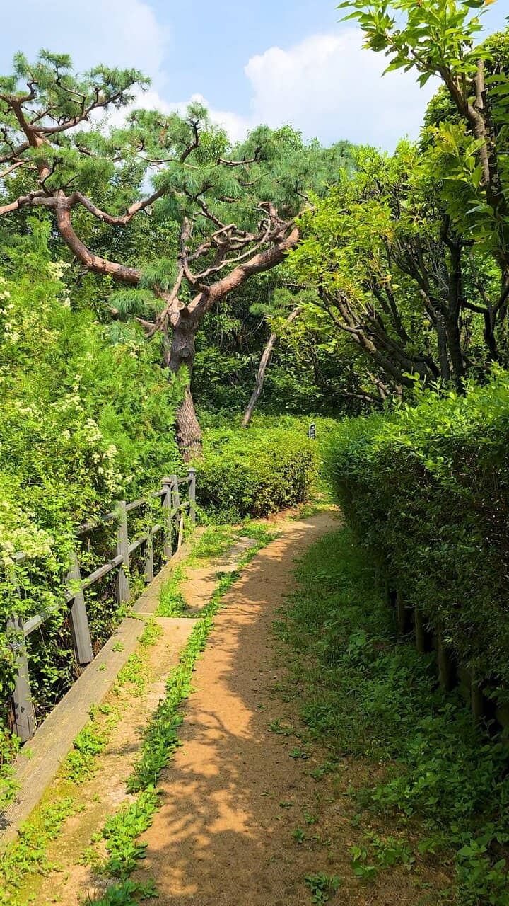 Scenic Lookout Spots