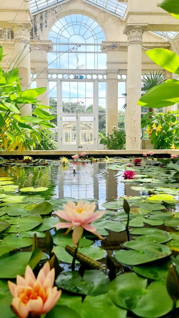 Syon Park Grounds