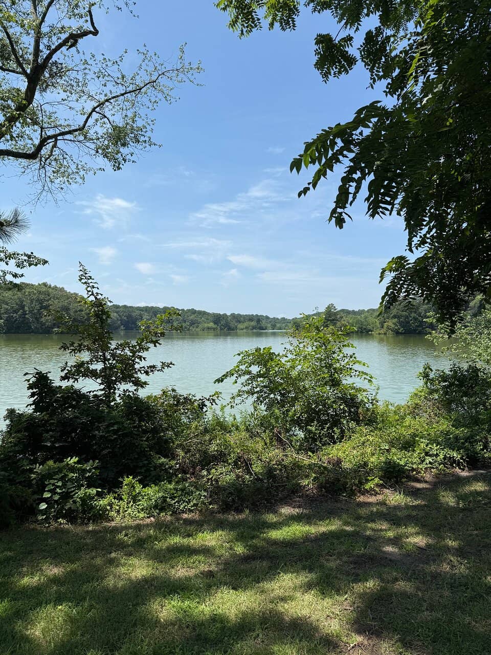 Pedal Boating on the Pond