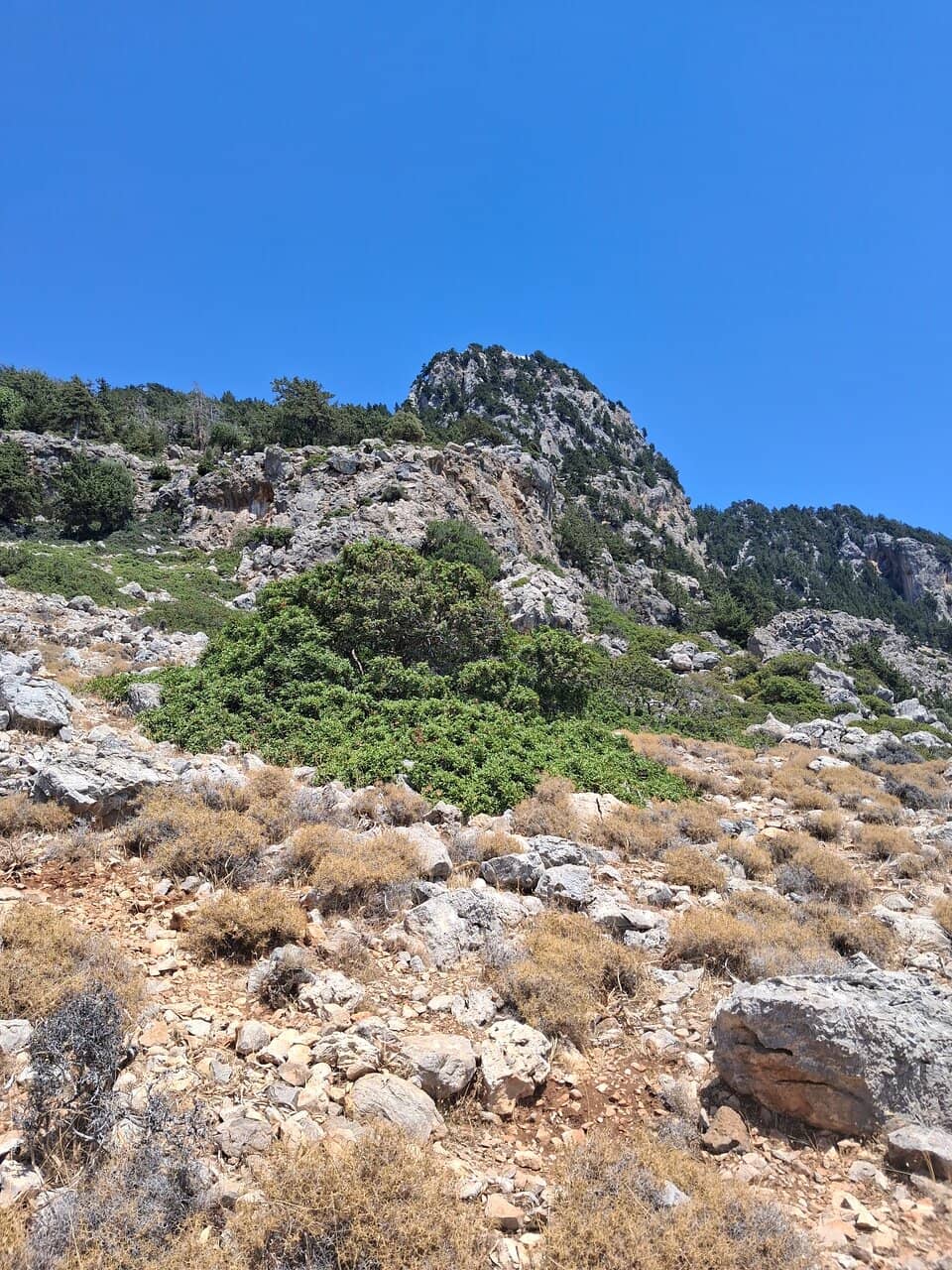 Vertical photo