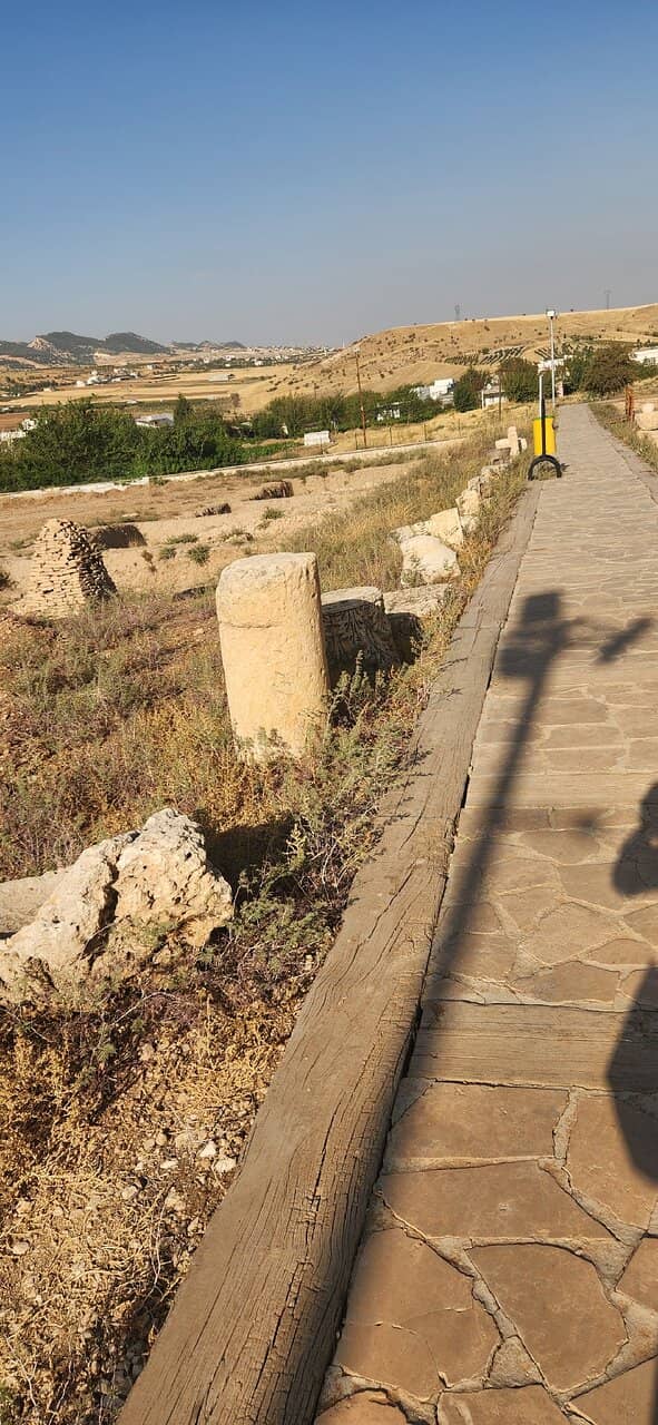 Mosaic Discoveries