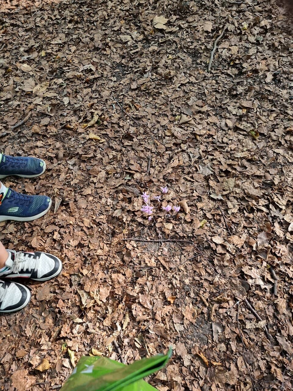 Nature Trails