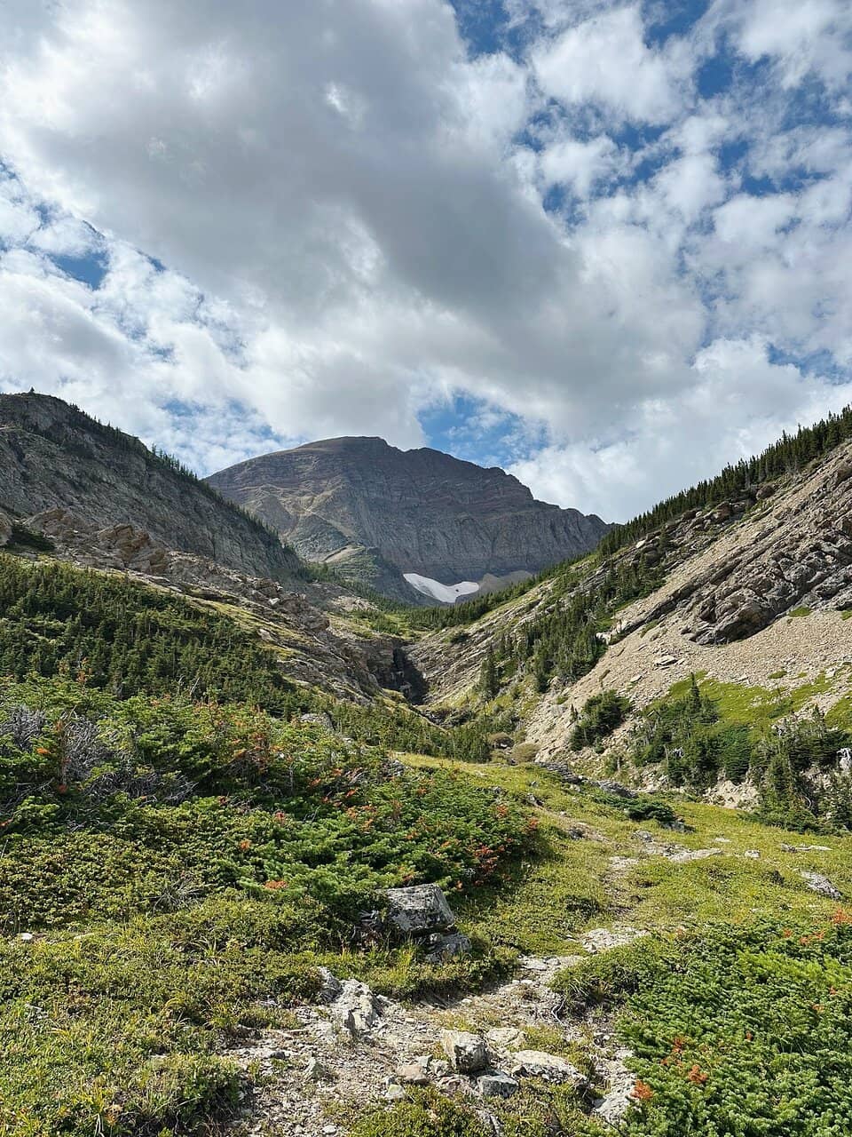 Waterton Townsite Views