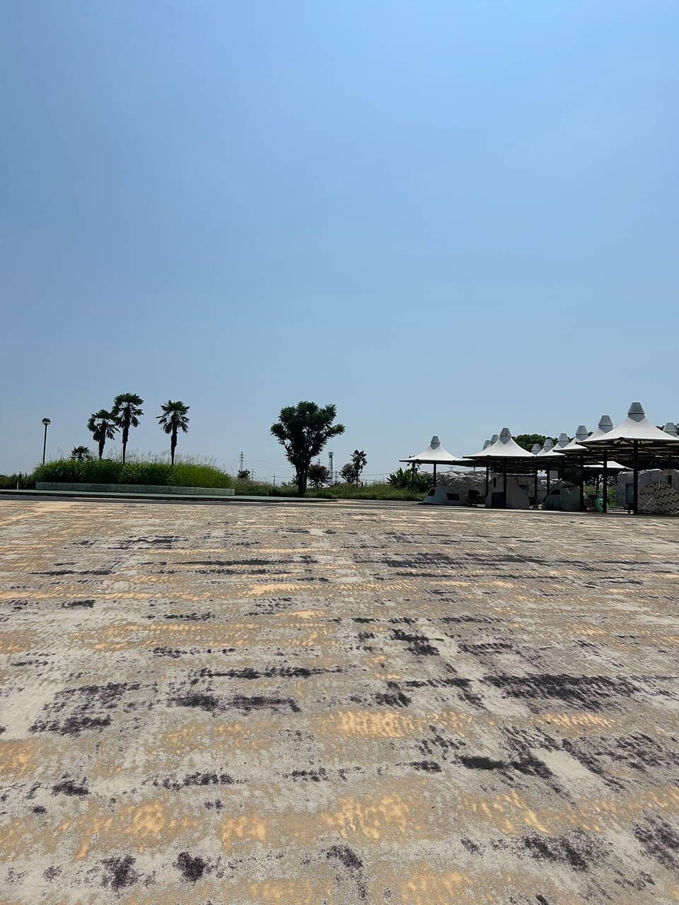 Electronic Music Show