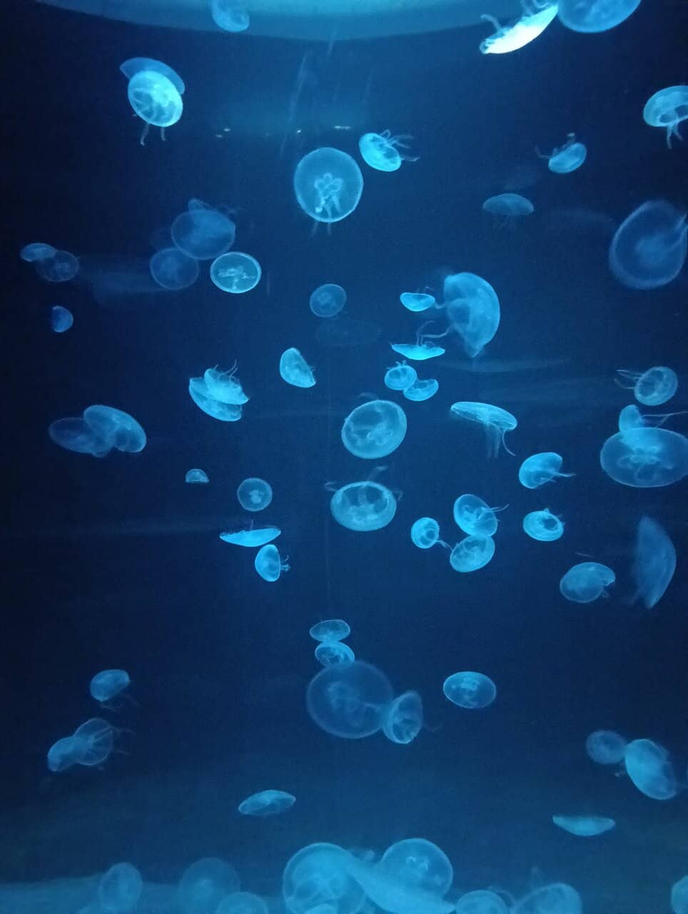 Maritime History Exhibits