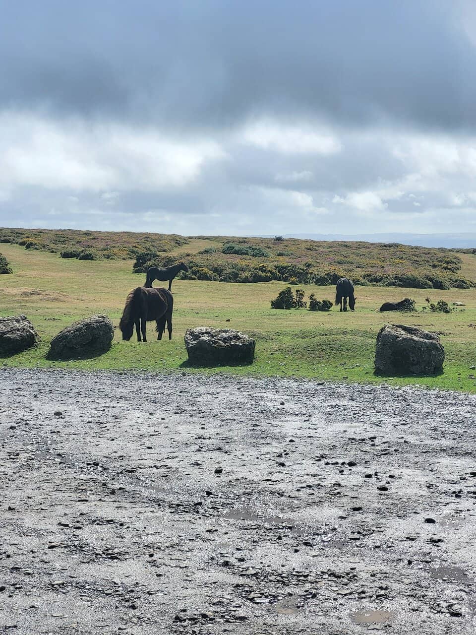Spectacular Moorland Vistas