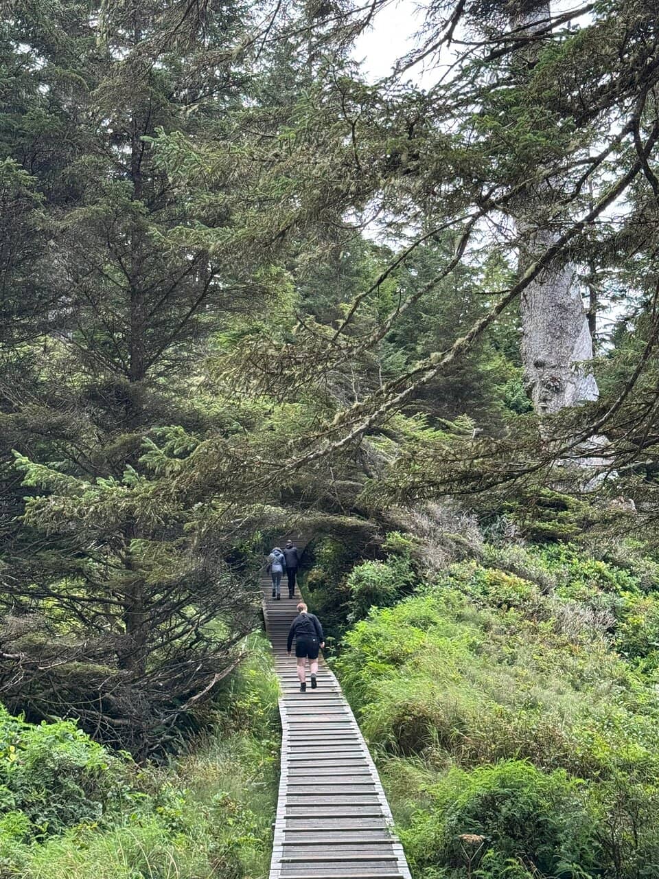 Informative Displays