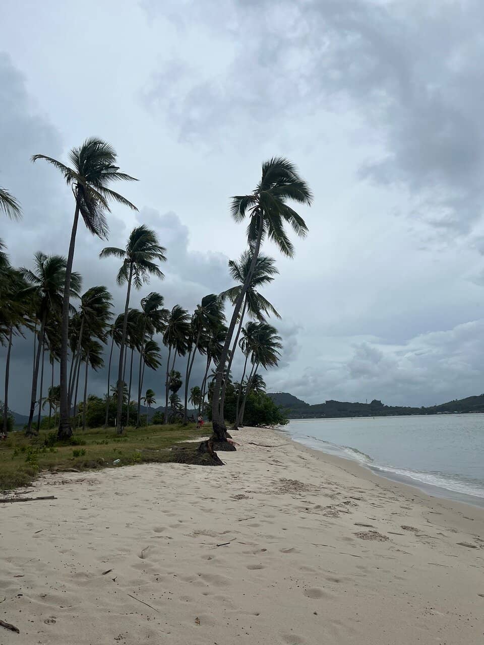 Pristine White Sands