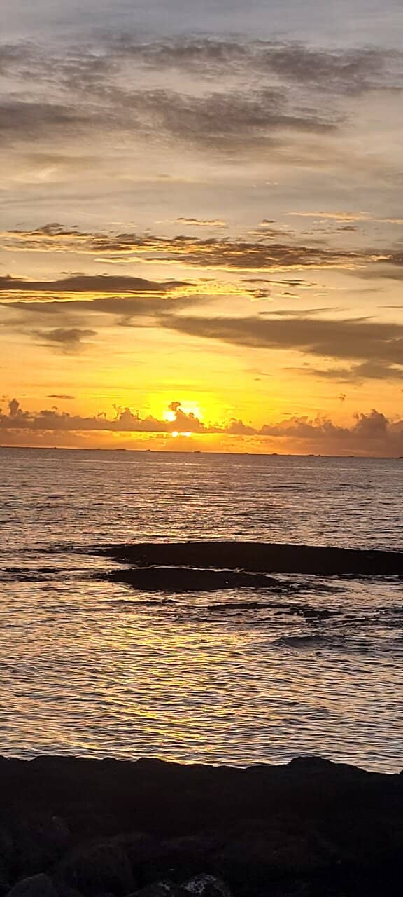 Low Tide Beachcombing