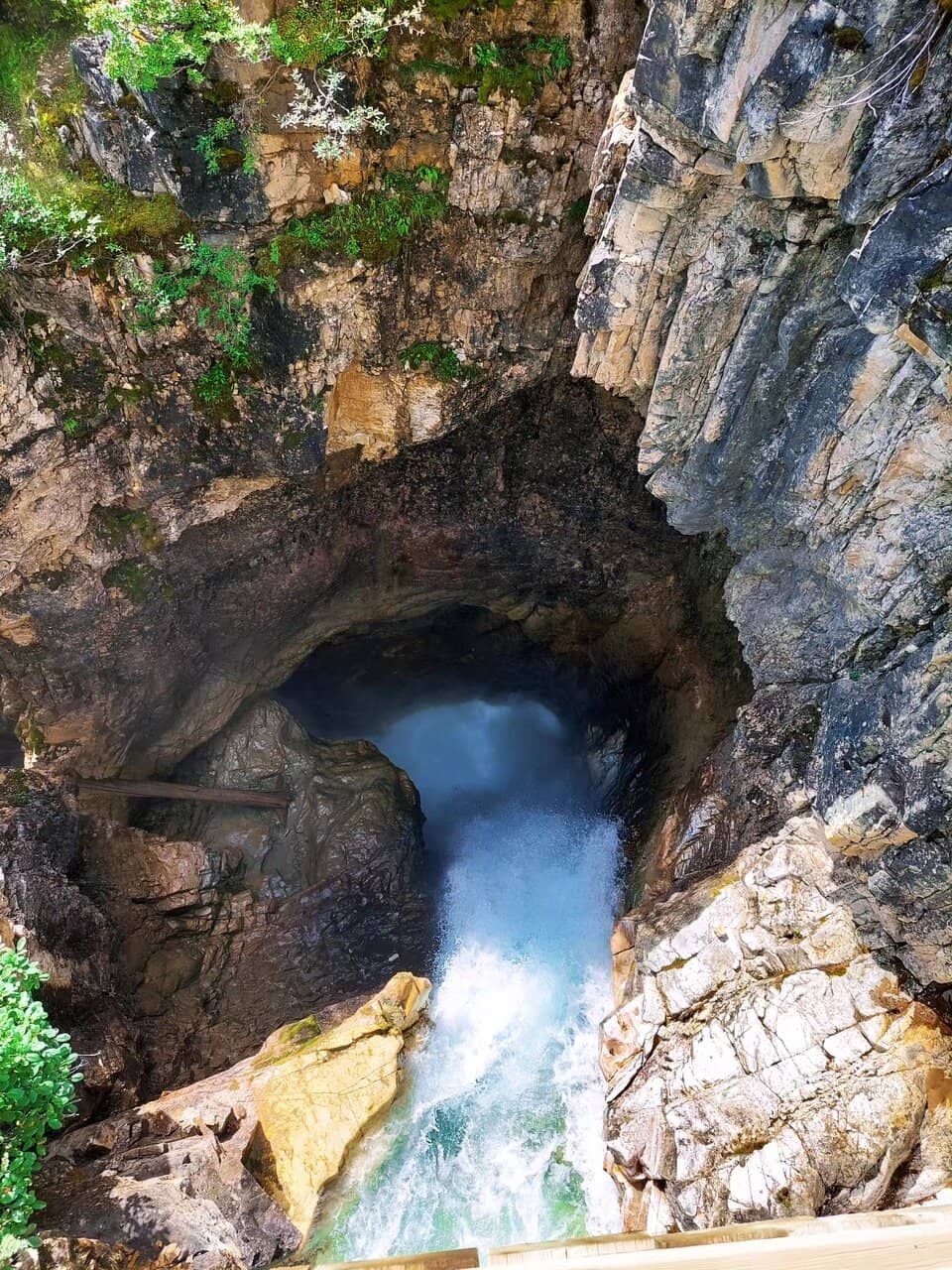 Colorado River Views