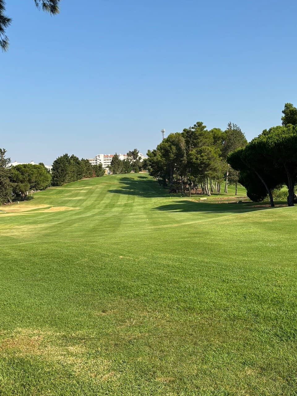 Challenging Undulating Layout