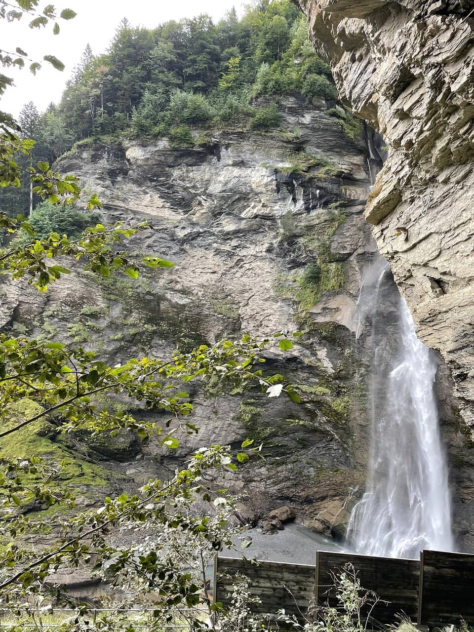 Vertical photo