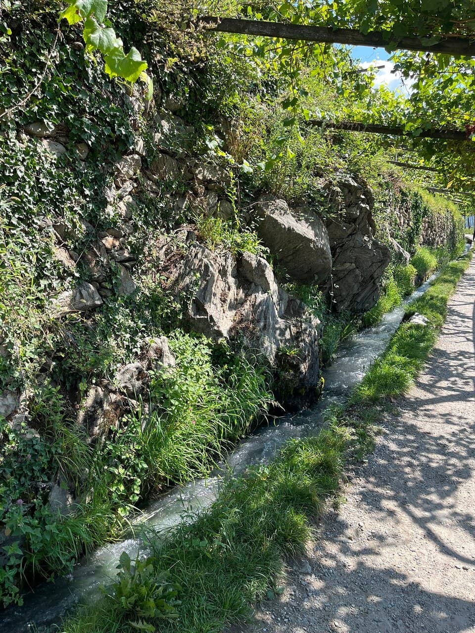 Vineyard and Orchard Vistas