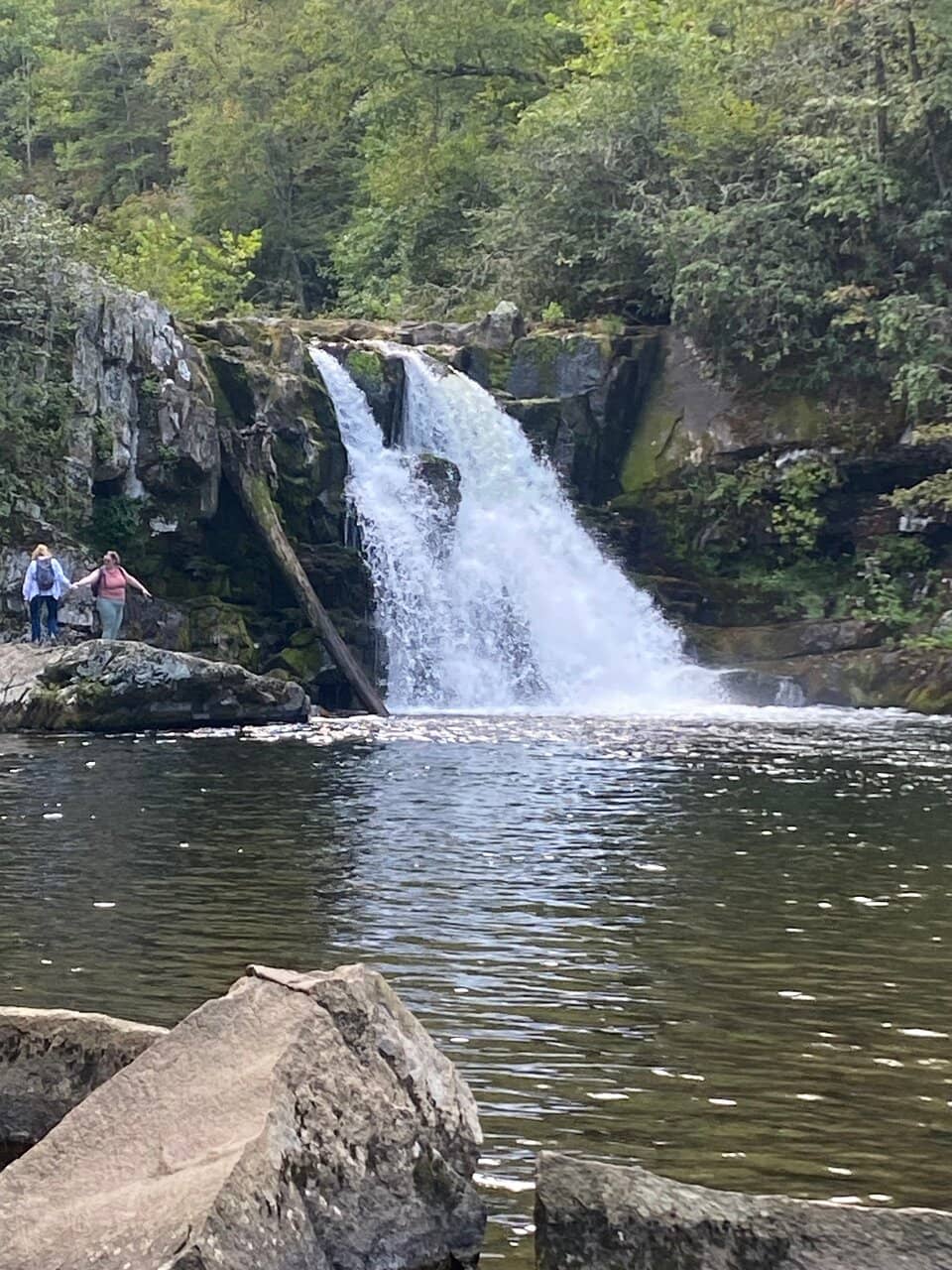Cades Cove Scenic Drive