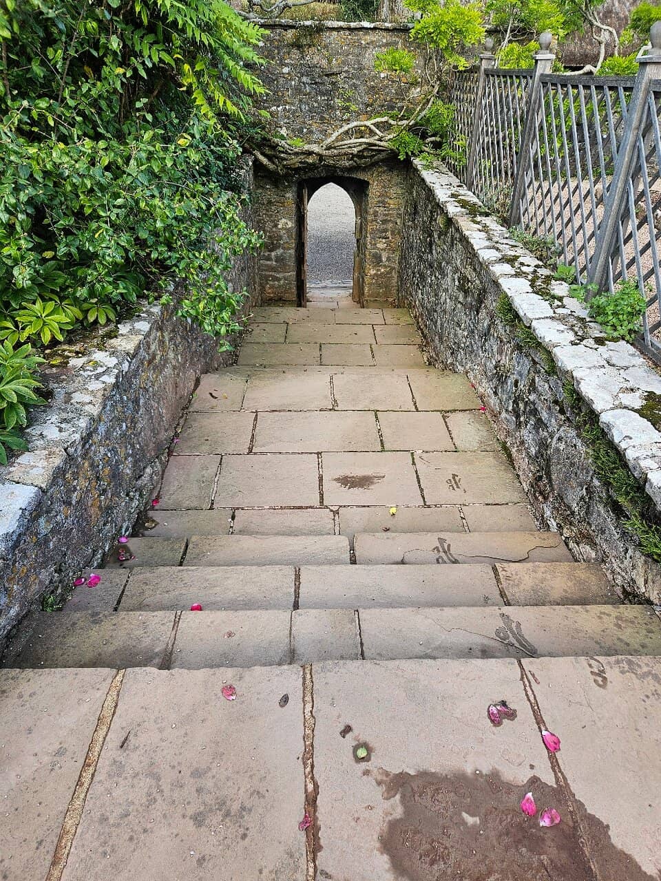 The Walled Garden
