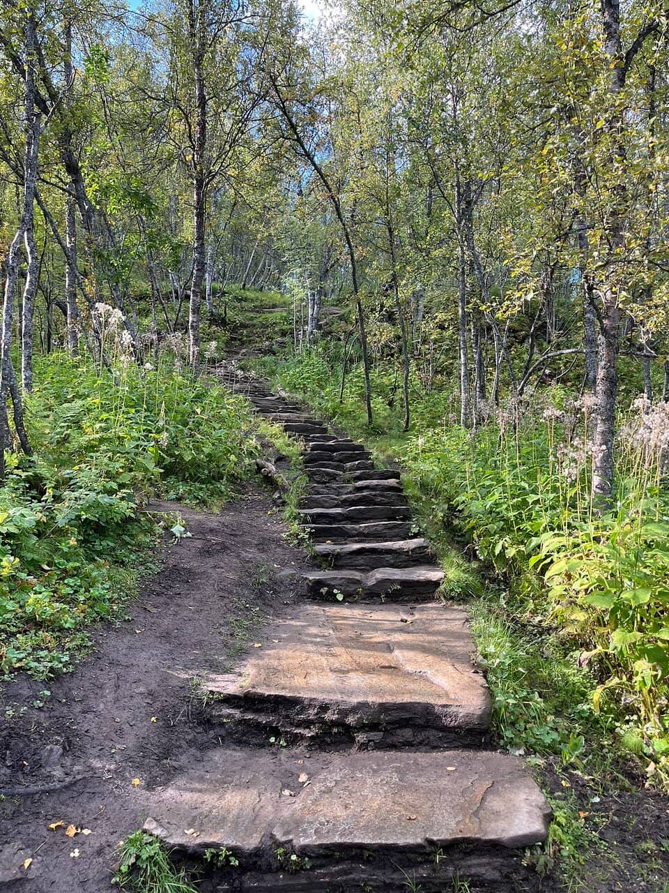 Vertical photo
