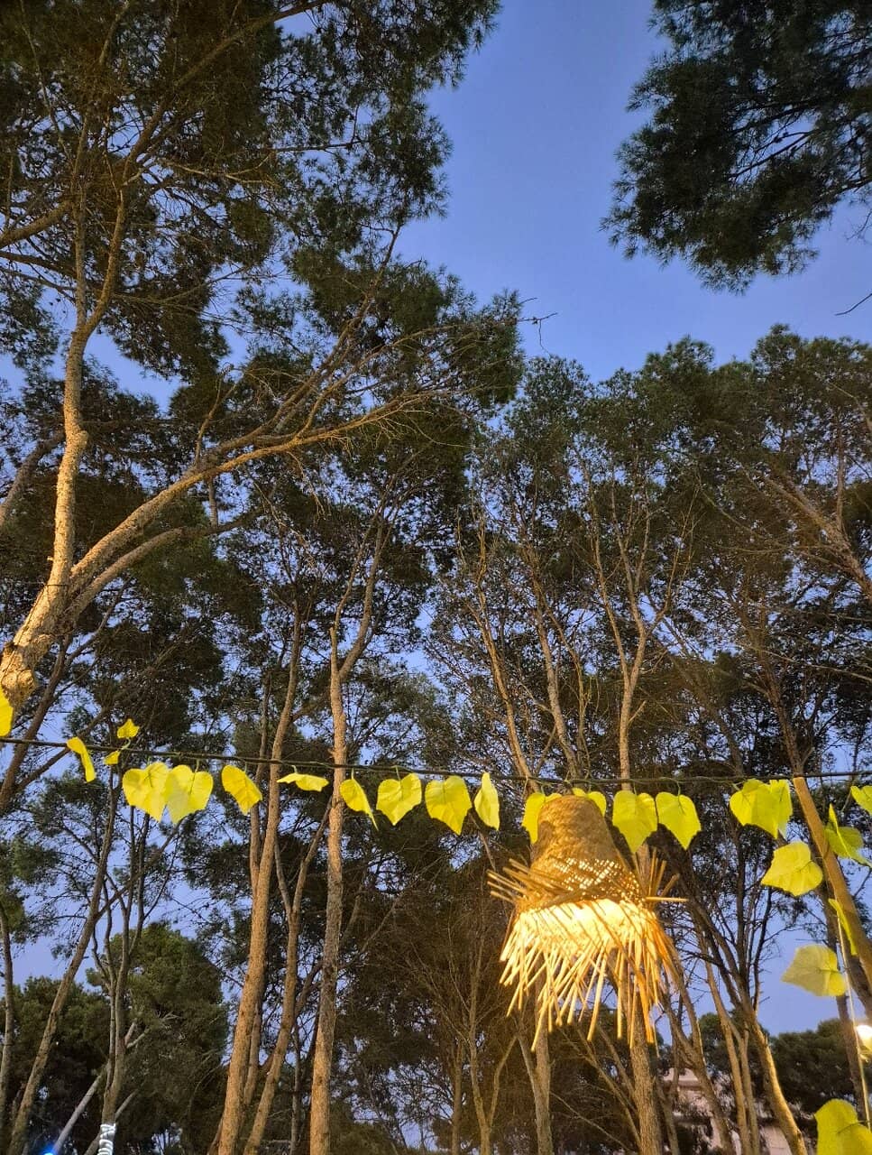 Evening Ambiance & Bar