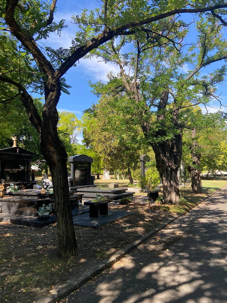 Waterfront Recreation