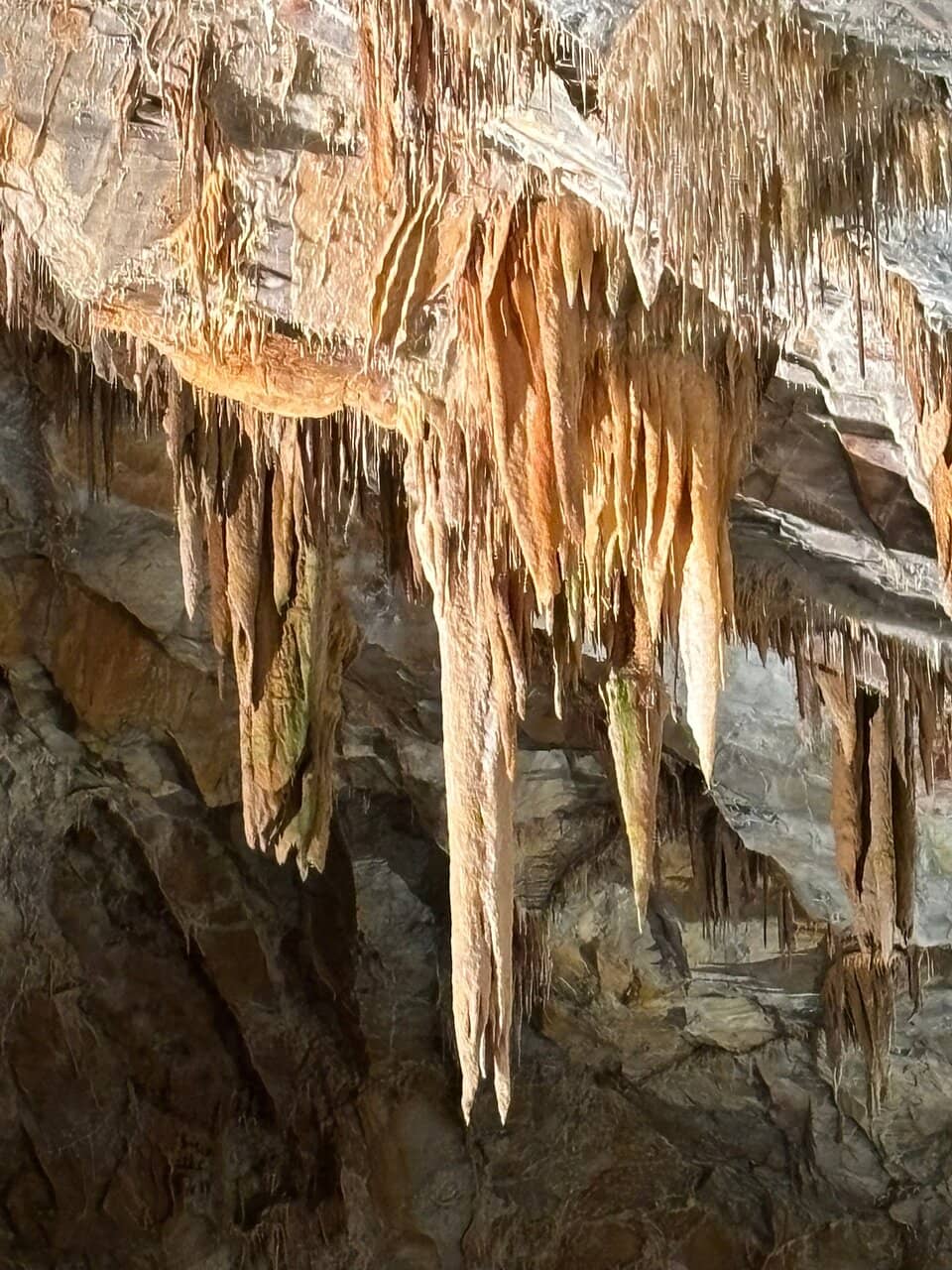 Underground River Boat Tour
