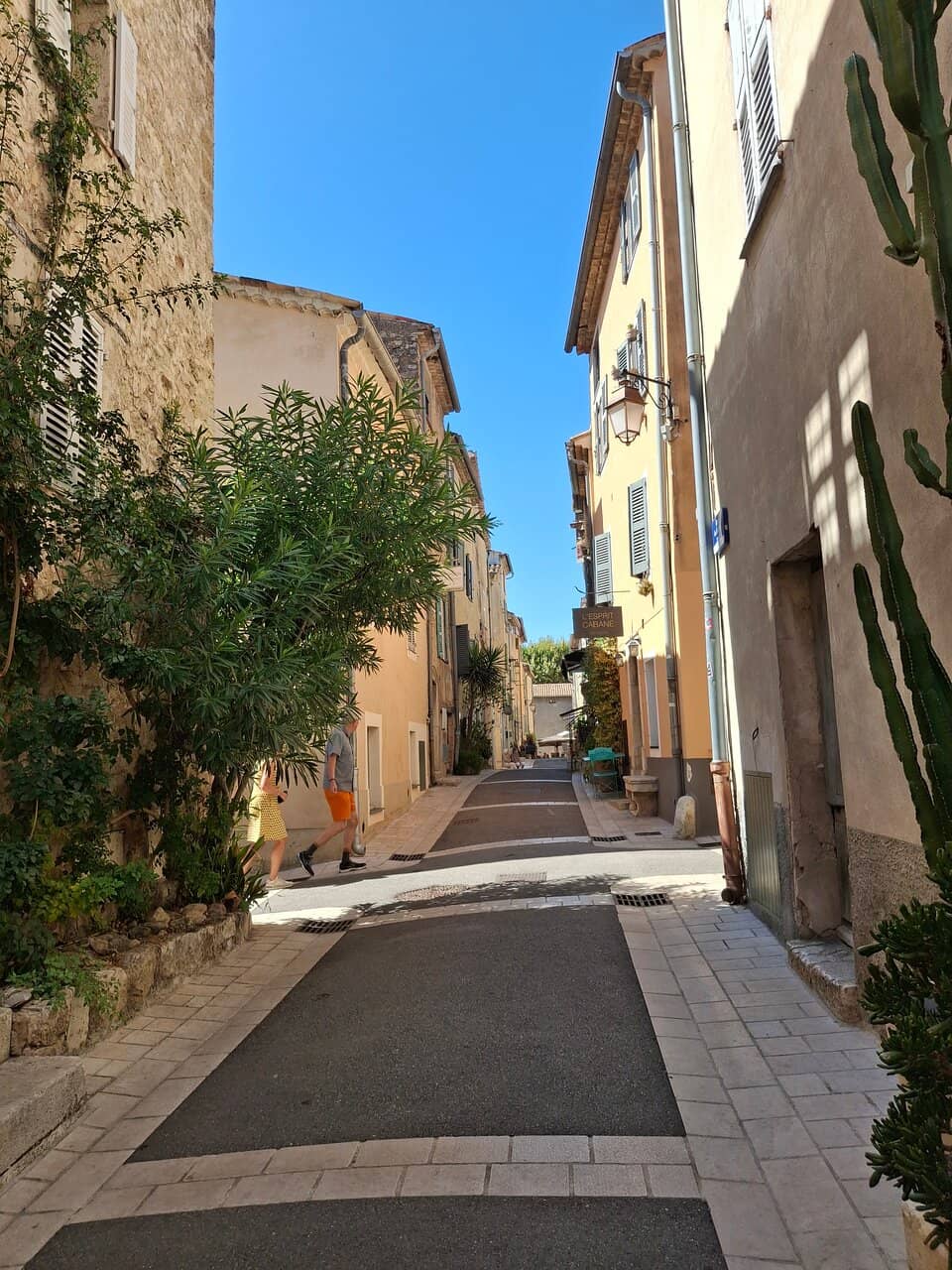 Vertical photo
