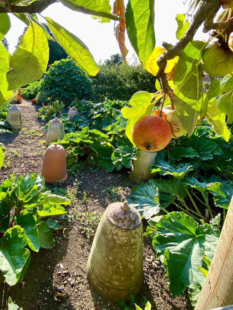 Queen Mother's Inspired Garden