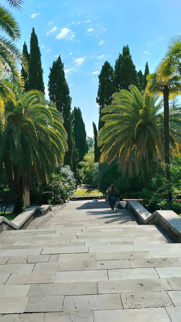Butterfly Exhibition