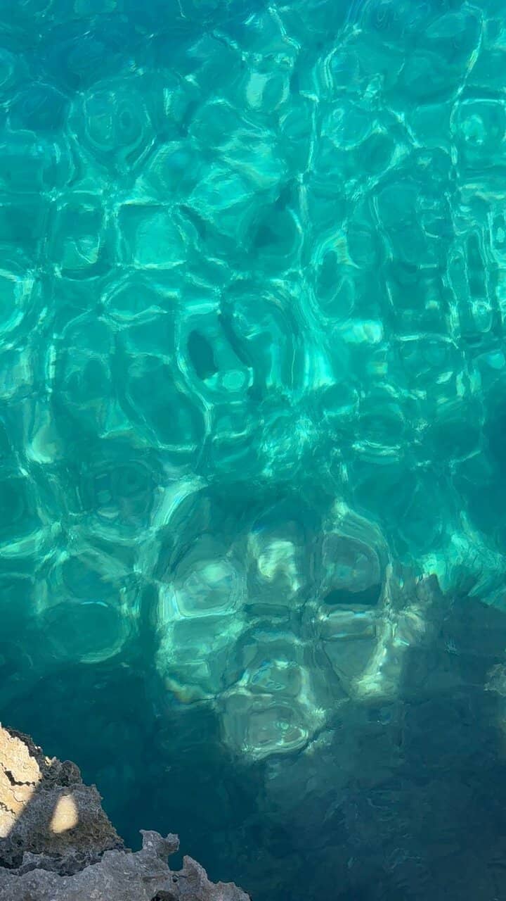 Cala Bassa Beach Club