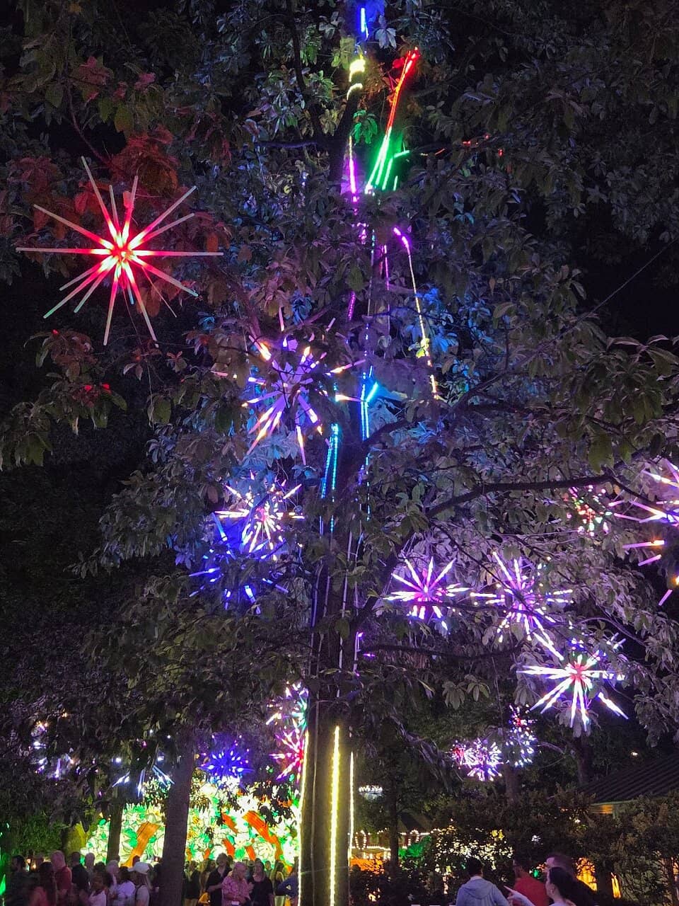 Chinese Lantern Festival