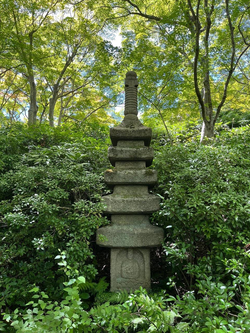 Panoramic Arashiyama Views