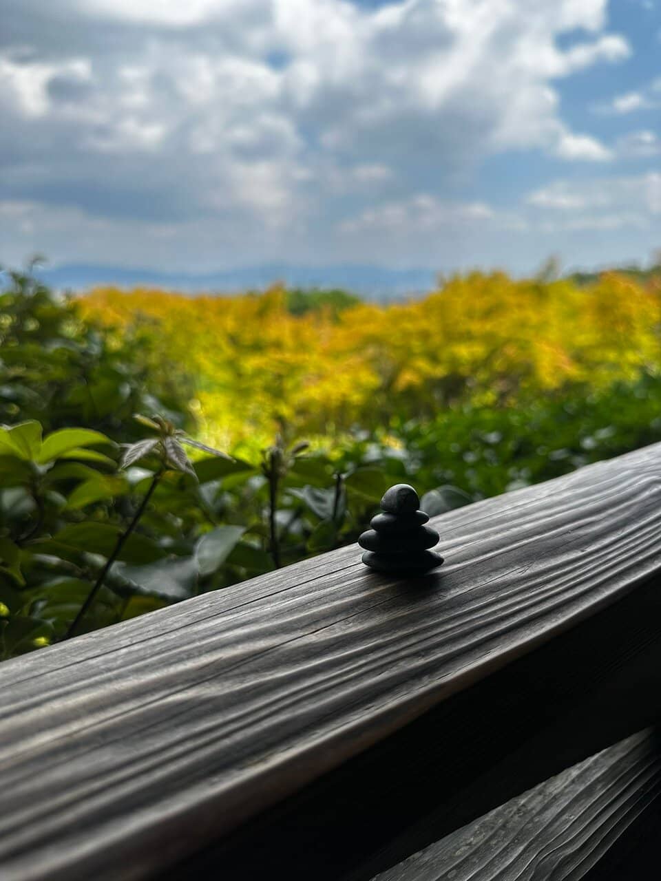 Vertical photo