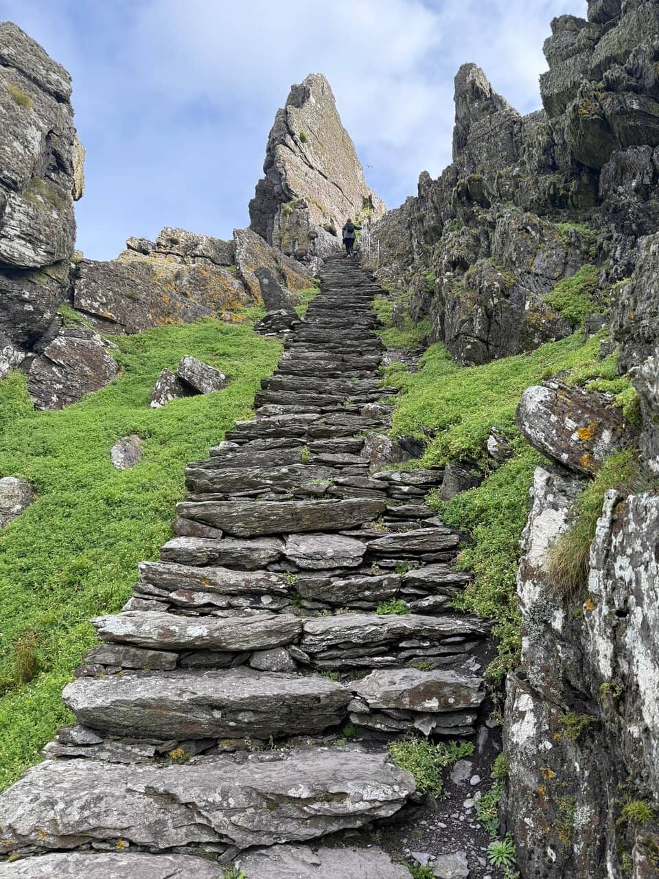 Visitor Centre Exhibition