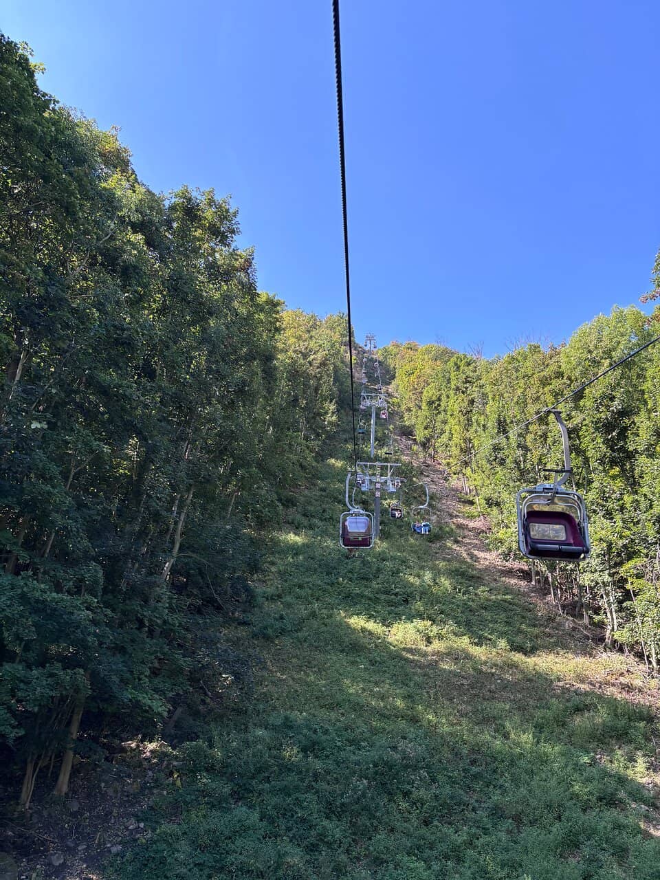 Hiking Trails