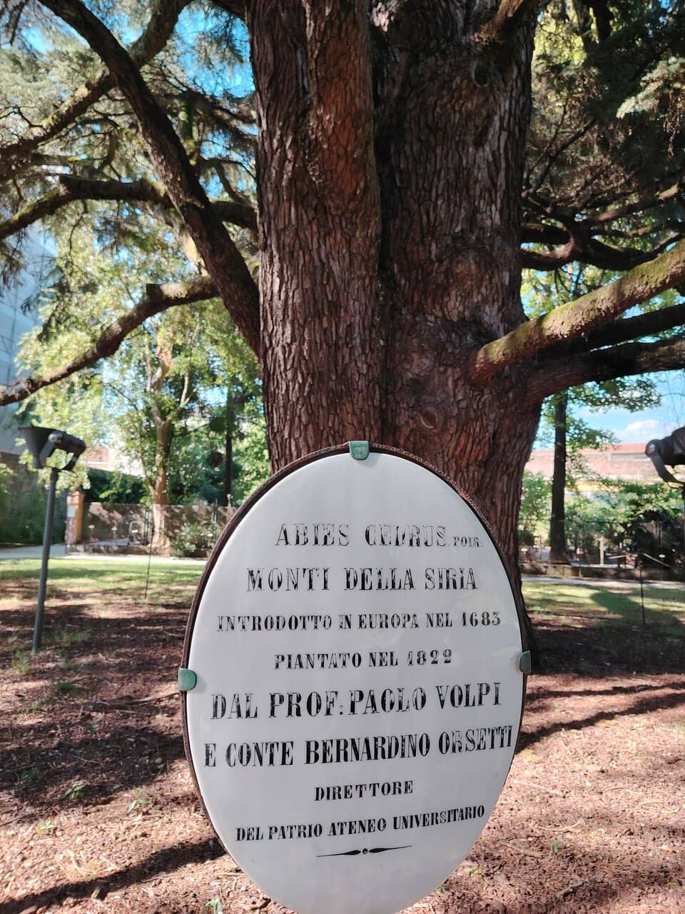 The Arboretum