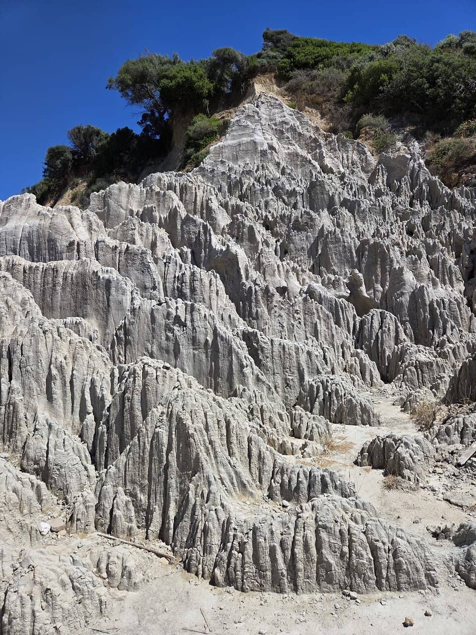Loggerhead Turtle Nesting Sites