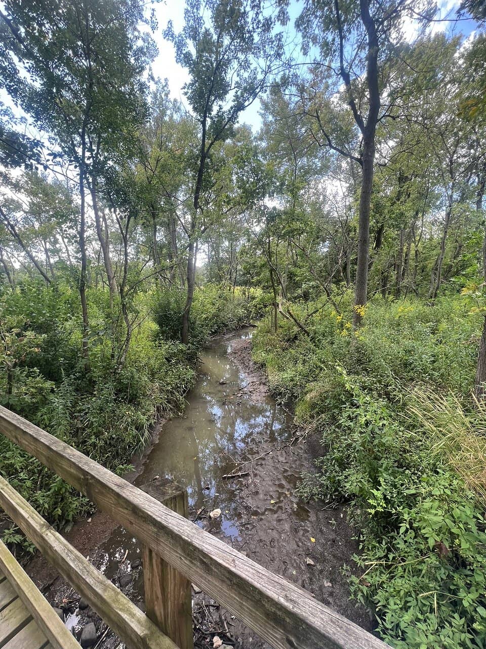 Arboretum