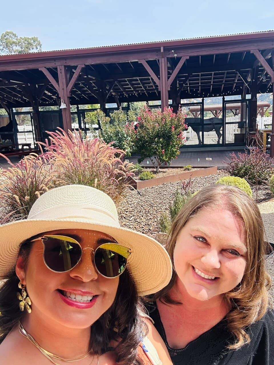 Scenic Vineyard Views