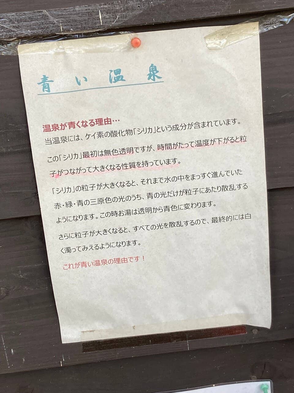 Authentic Home-Cooked Meal