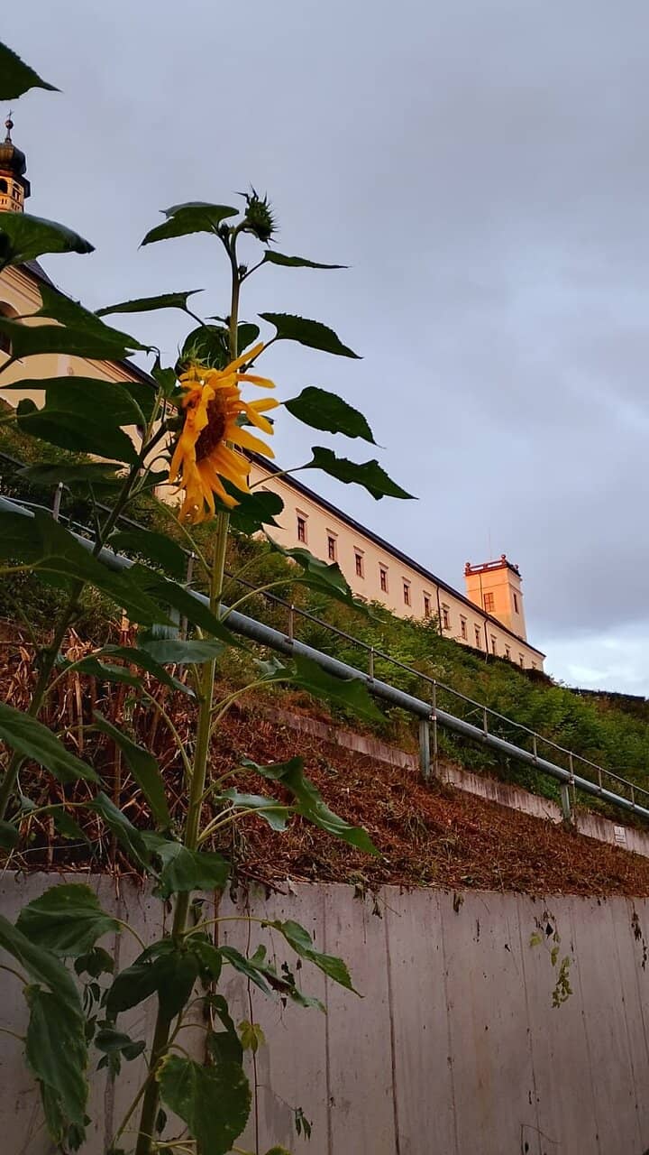 Artistic Inspiration