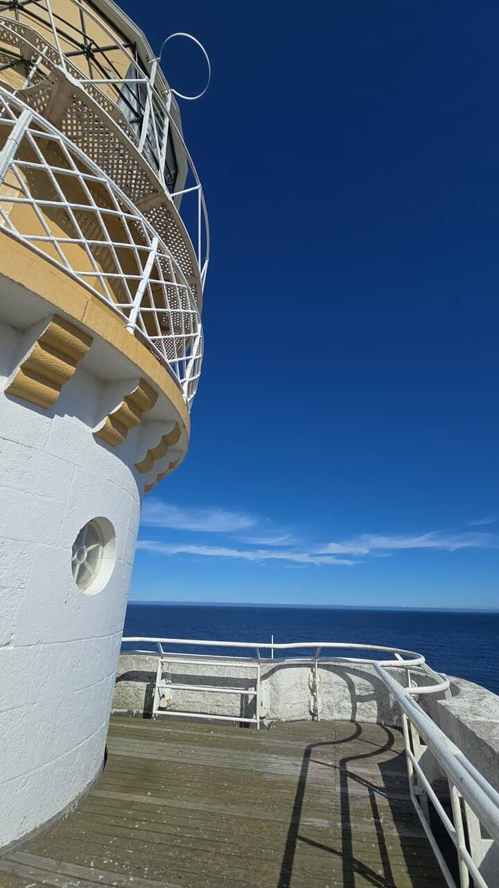 Home-Baked Tray Bakes